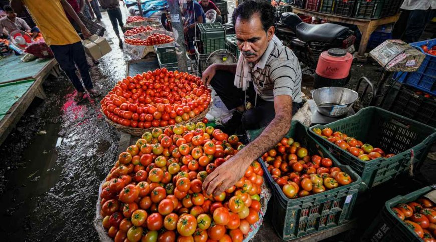 मानसून में देरी के कारण टमाटर की कीमत में वृद्धि: केंद्र ने उठाया कदम,