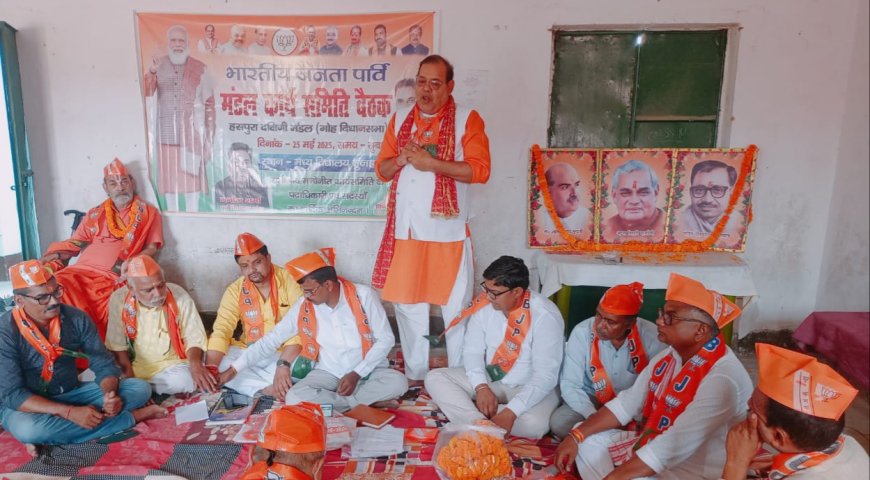 भाजपा कार्यकारणी की बैठक आयोजित