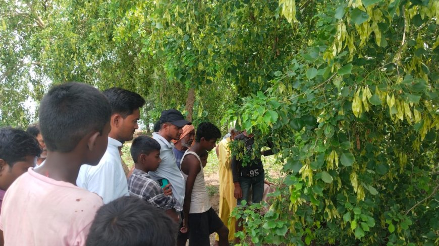 रफीगंज से कासमा थाना क्षेत्र लहंगिया गांव में अज्ञात चोरों ने एक साथ चार घरों में की चोरी