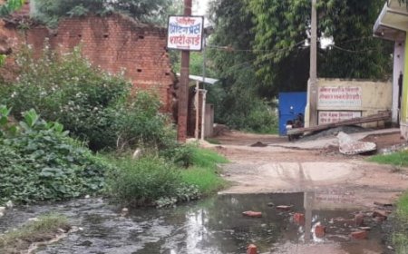 कीचड़ व जल जमाव से अदर्शनगर बदहाल