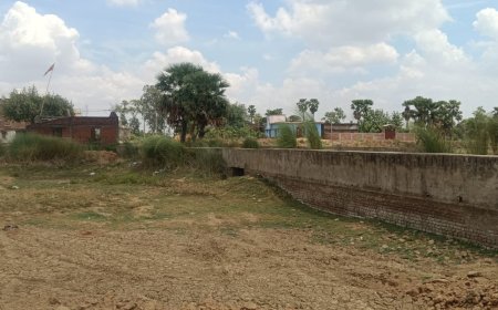 डब्ल्यूपीयू के निर्माण कार्य स्थल को लेकर जताया विरोध