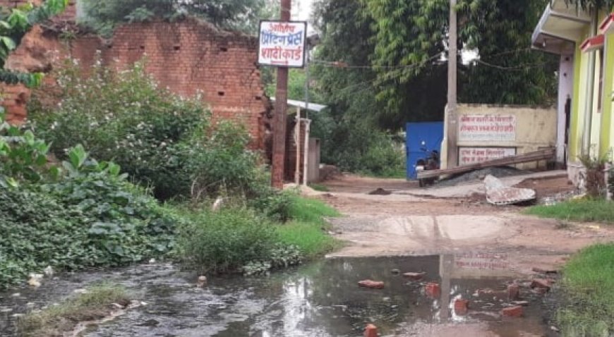 कीचड़ व जल जमाव से अदर्शनगर बदहाल